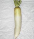 Ŀ 